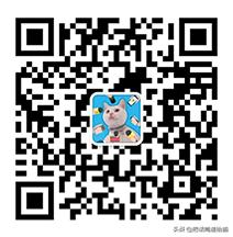 猫兄妹可爱视频,矮脚猫兄妹