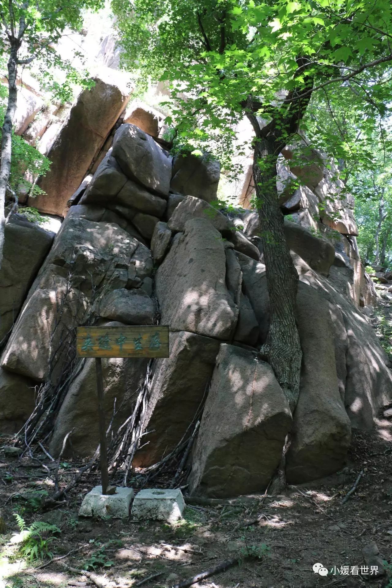 哈尔滨周边将军山,哈尔滨将军山森林公园