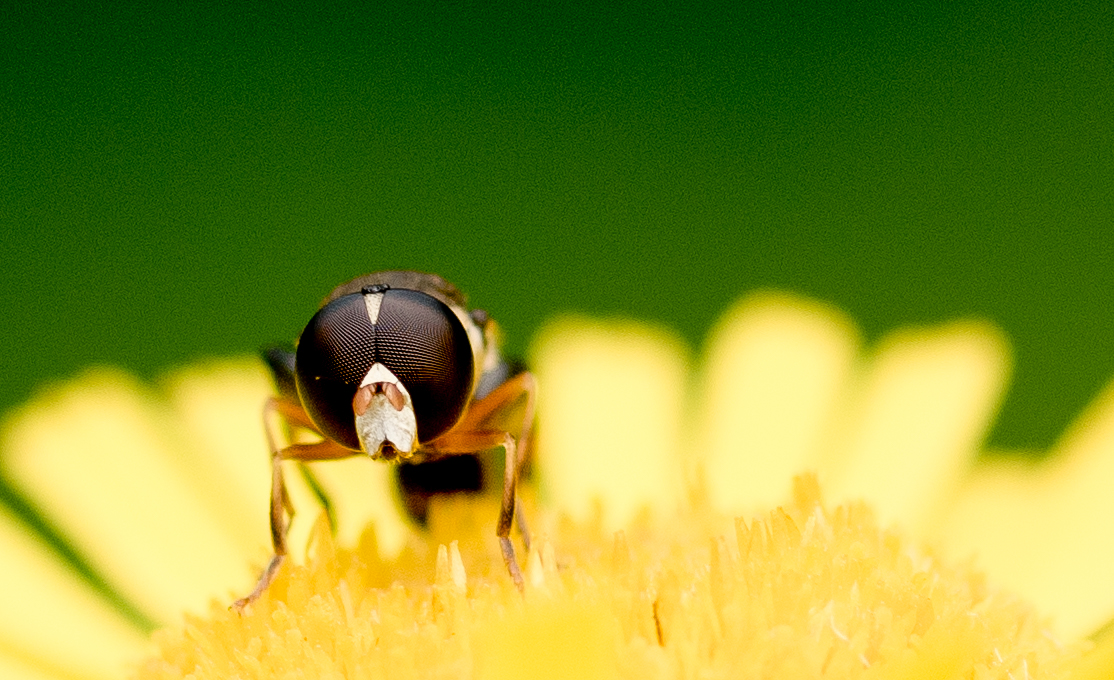 我与摄影的这些年,我和摄影的感悟