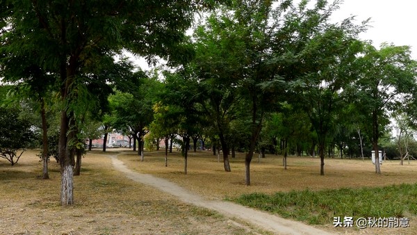 水上森林乐园景点,北京朝阳太阳宫附近免费游玩