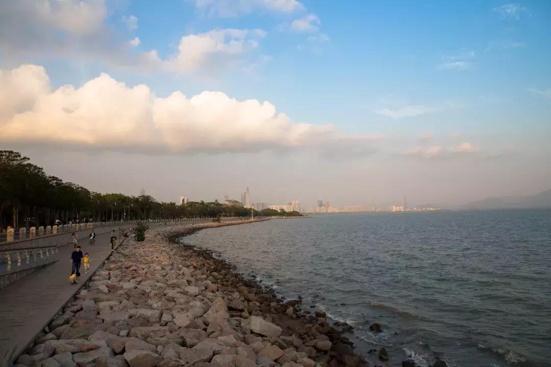 閲嶅簡鎶栭煶缃戠孩鏅偣,鏄嗘槑鎶栭煶鍗佸ぇ缃戠孩鏅偣