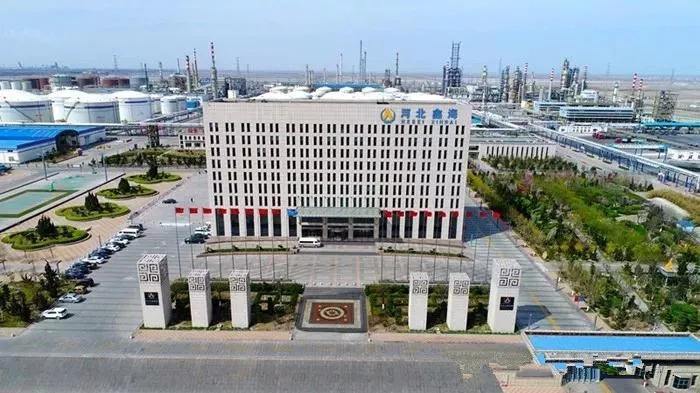 河北沧州百强民营企业,河北沧州十大企业