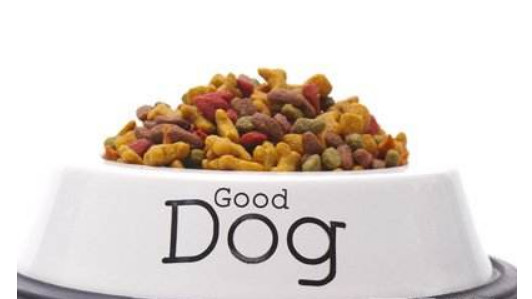 猫为什么不能多吃谷物,猫咪喜欢吃狗粮怎么办