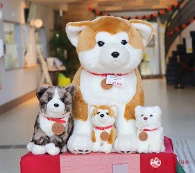 秋田市旅游,秋田一日游最佳去处