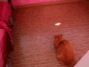 “兄弟睡觉压得胳膊都变色了，要不要叫醒他？”醒来一定很酸爽