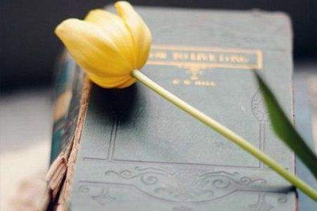 川大教育学,川大教育学专业