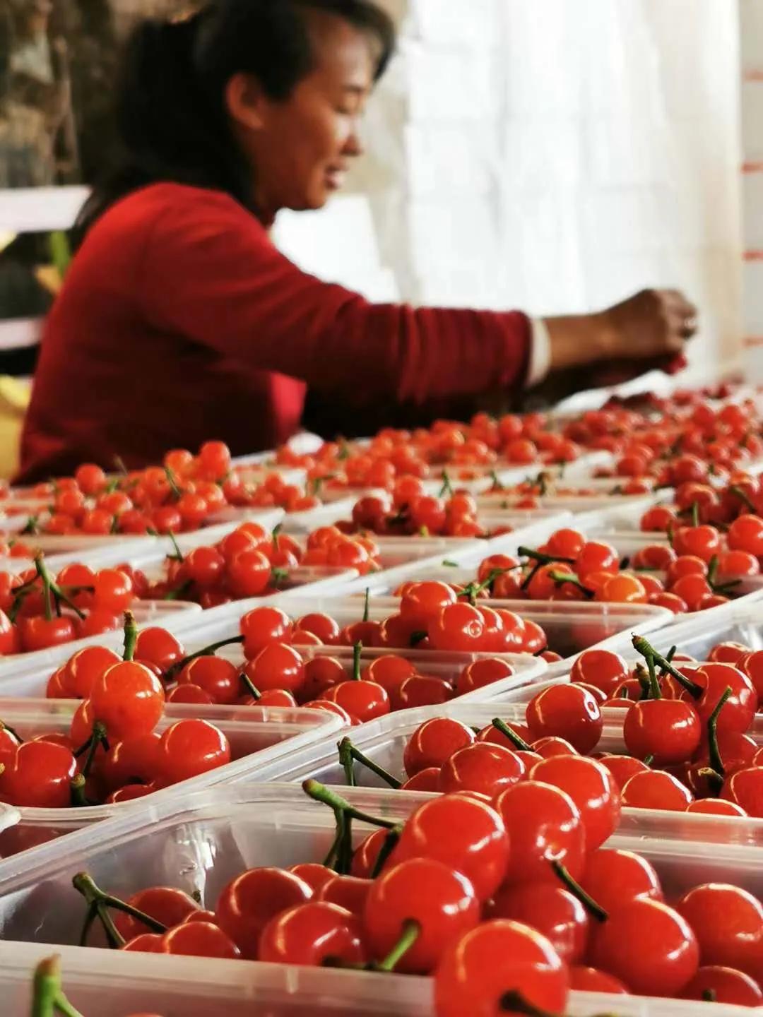 2024攀枝花旅游,攀枝花旅行榜单