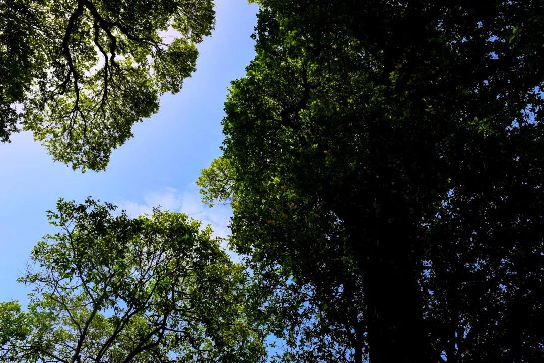 原创散文:鄂西乡村,山路崎岖,人们练就了一身背的功夫