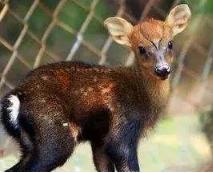 鍖呯鏃ヨ2018,濂緢鍝佸寘纾ㄦ崯鍦版柟淇鏂规硶