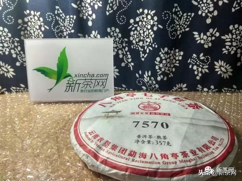 茶友故事汇|我与新茶网有个约会,你呢?