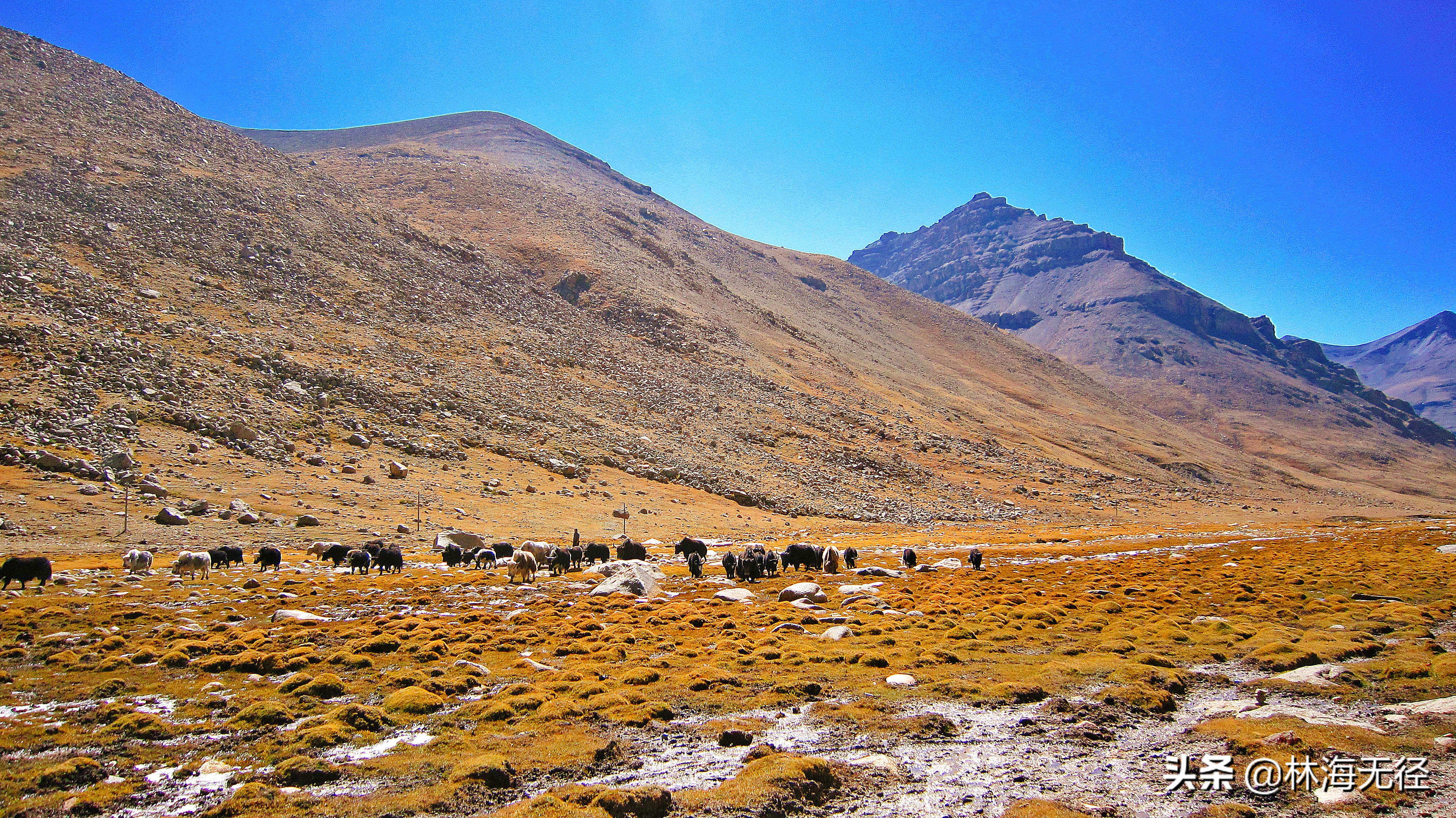 冈仁波齐徒步到拉萨,冈仁波齐徒步十一转