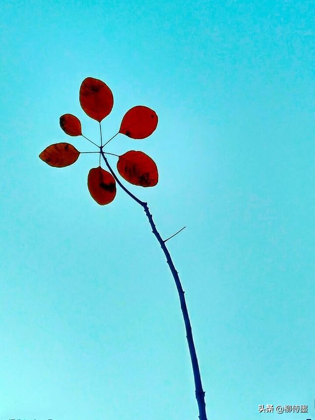 摄影新手如何拍摄照片教程,新手学习摄影入门第一步