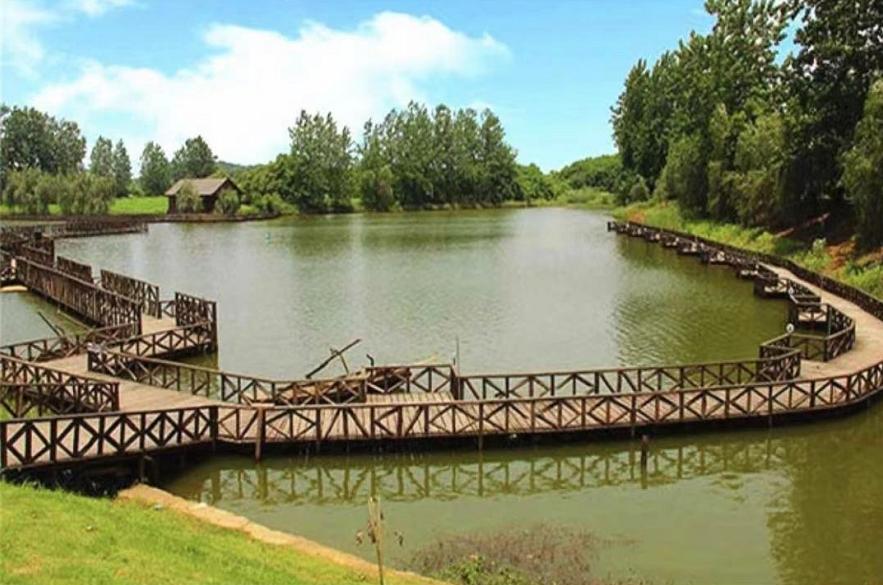 武汉最有人气的户外烧烤据点都在这了！赶紧打卡吧