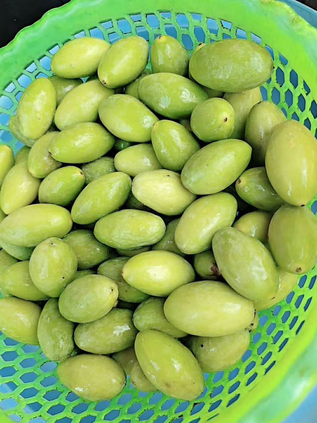 入暑后吃什么水果最好,处暑过后吃点什么