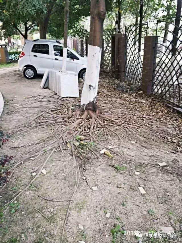 物业资讯：恒宇尊城小区2019年第1季度物业服务考核结果的通报