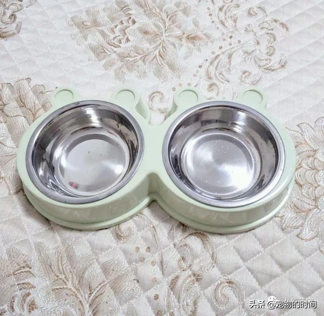 新手养猫一个月要花费多少钱,养猫最低一个月需要花多少钱