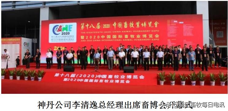 如何破解蛋品安全难题?神丹“全产业方案”引关注