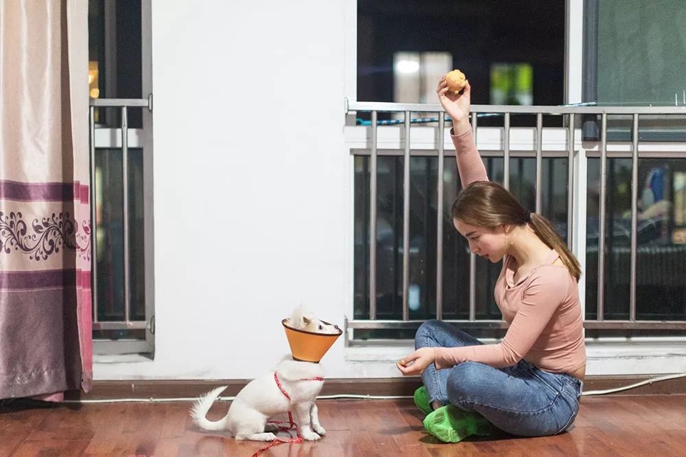 不能开口说话的女主播,直播间不说话的女人