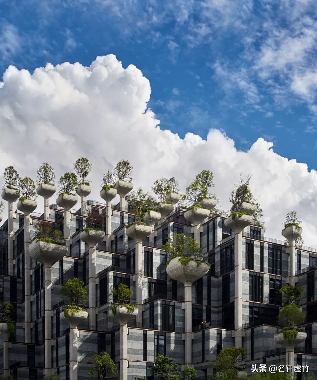 上海苏州河天安千树公园,天安千树苏州河畔空中花园