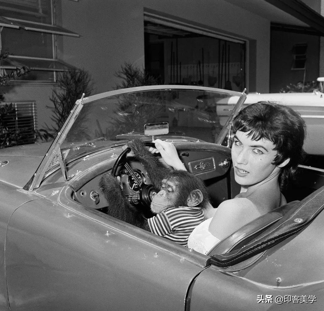 “*欲肉**”的美式性感，消失了吗？