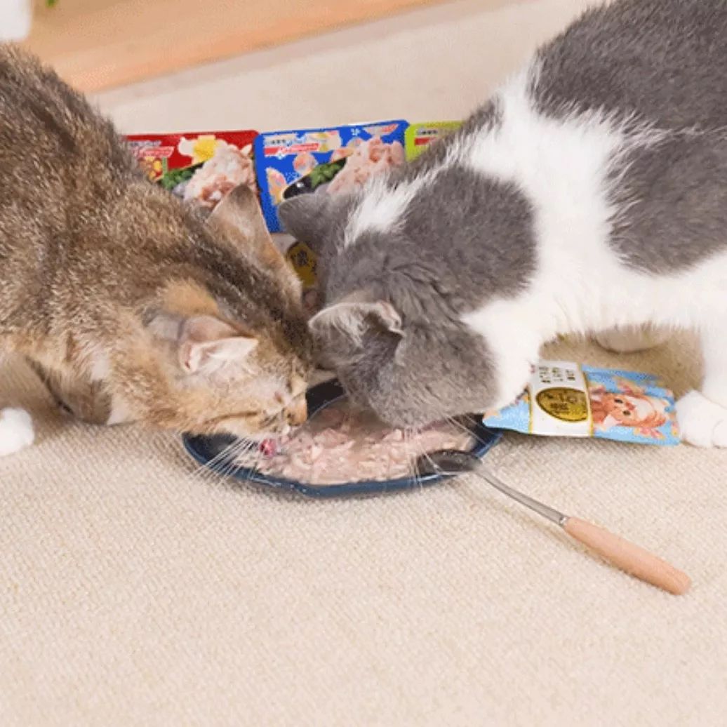 看了猫要吃的零食，你就知道为啥猫咪比娃还难带