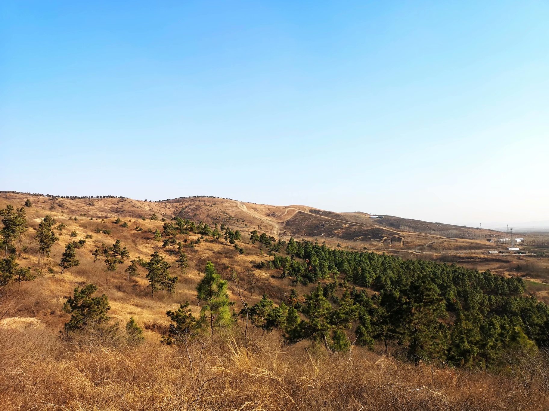 摩托周边旮旯游——探访蚌埠李楼鲁山寺遗址（上）
