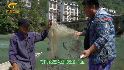 巴马的神秘之处,巴马不解之谜