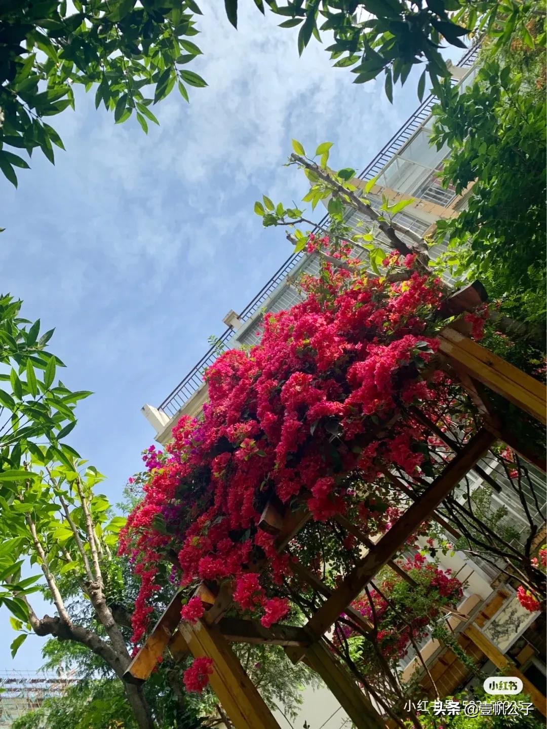 被大理的美景所折服,被丽江的风景美到了