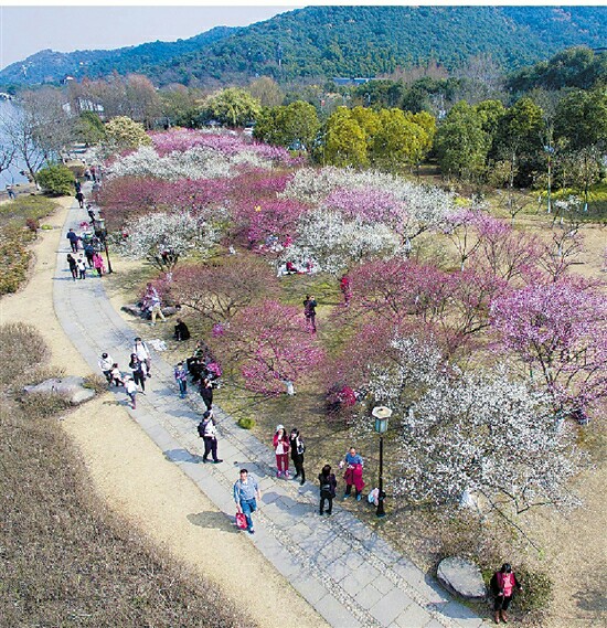 春天花儿开春意正香浓是什么意思,桃花朵朵开春意浓