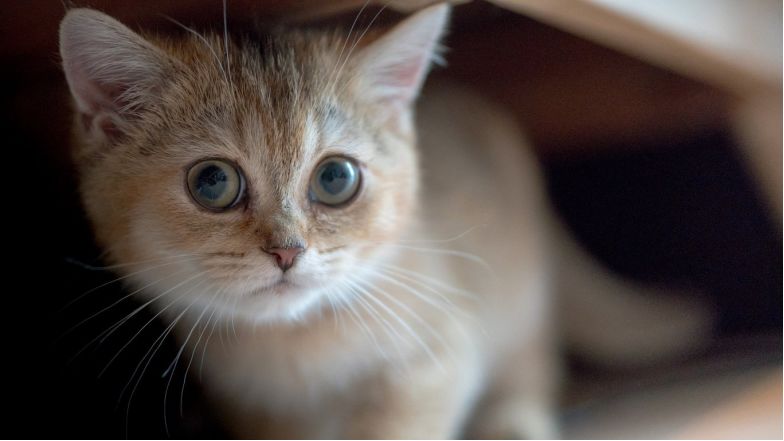 降息了利率3.75,降息工商银行