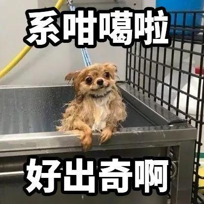 深圳女子零食里吃出铁钉,女子体内取出活虫只因吃这道菜