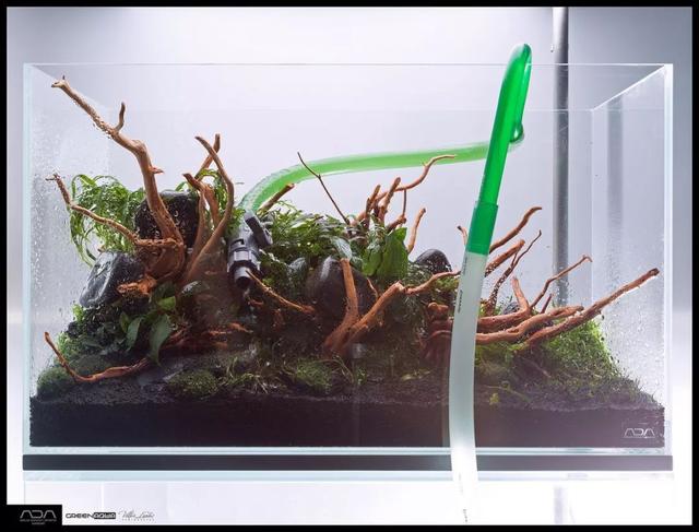 ada风格造景用什么底砂,鱼缸造景ada风格