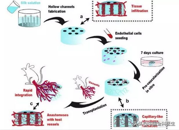 流程图绘制界面没有出来怎么办,流程图绘制的建议