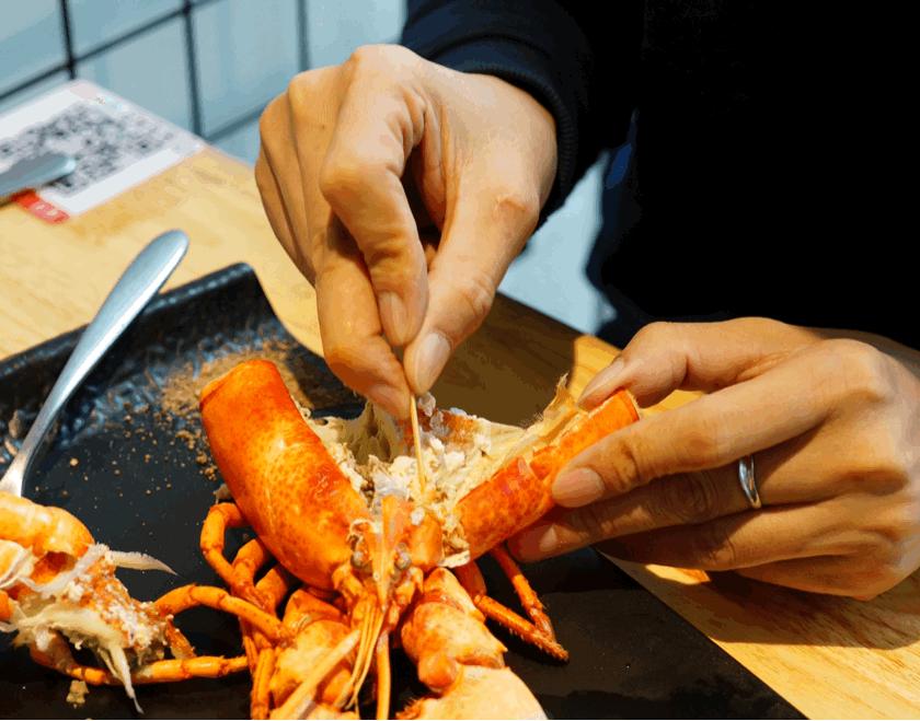 波士顿龙虾最高级的吃法,波士顿龙虾最新的吃法