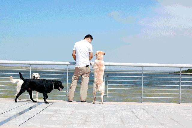 国庆小长假第二天,国庆小长假一日游