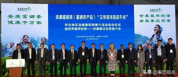 秦汉古茶价格,秦汉古茶图片