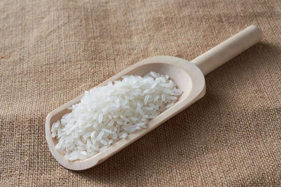 米饭放久了里的虫子是什么虫,米罐里有小虫子怎么办