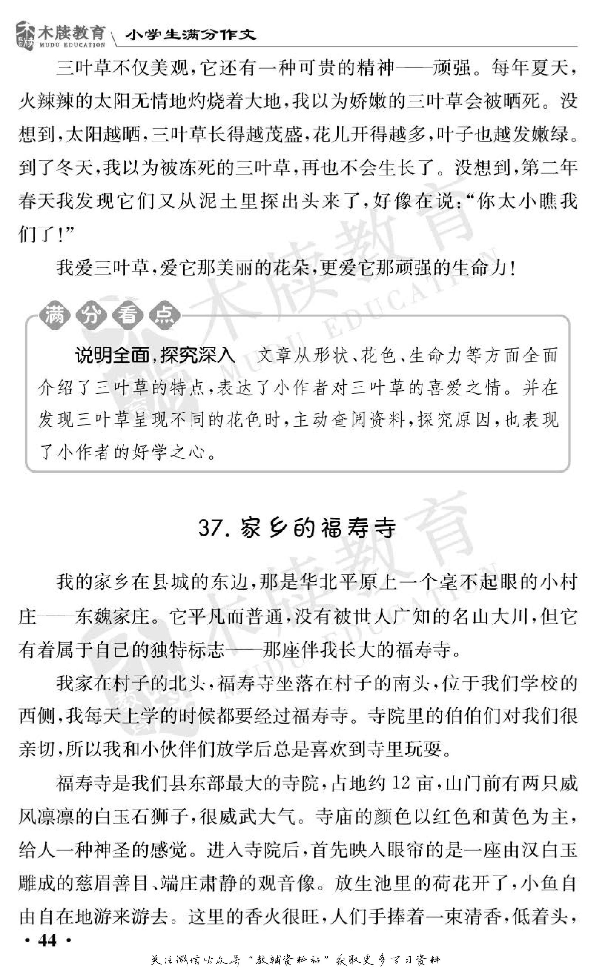 小学语文通关宝典,小学教育通关宝典