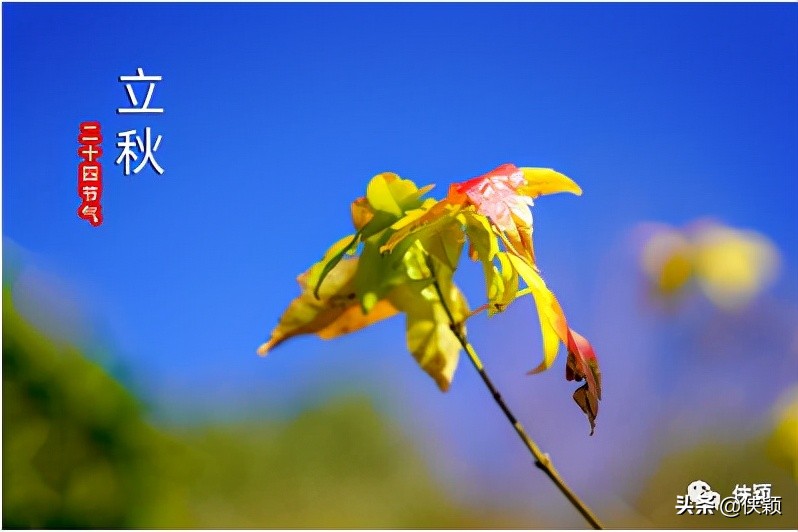 工作分析方法的发展趋势,工作危害分析法是一种什么方法