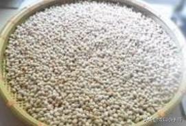 农村土法做黄豆酱需要晒干,河南中牟土法自制黄豆酱的全过程