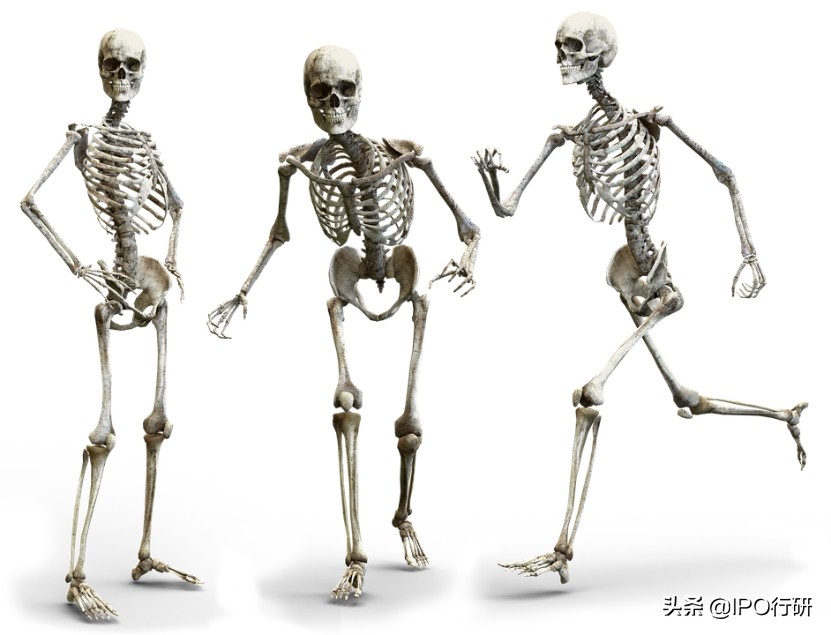 中国骨科植入物排名,骨科植入效果怎么样