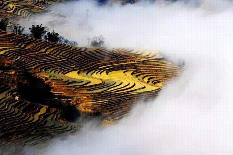 楚雄元阳普者黑四日游,最新云南建水旅游攻略