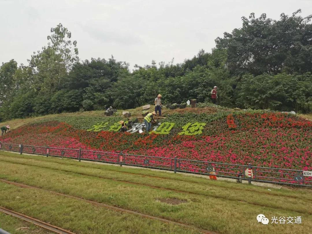 国庆期间,诚邀全国游客,免费乘“量子号”畅游美丽光谷