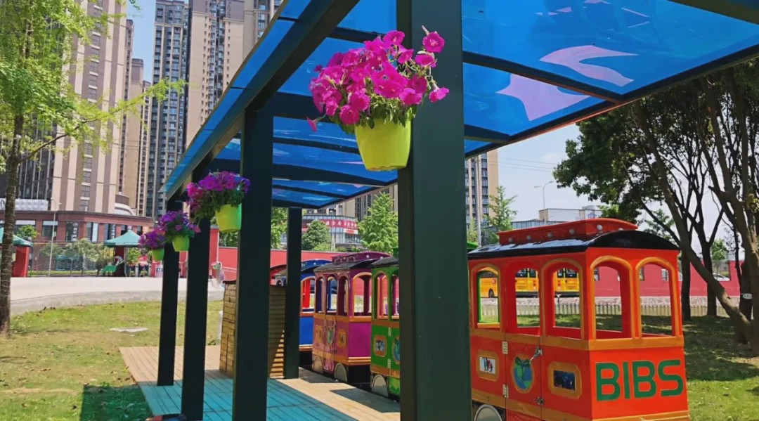 “温度”的师资,“韧度”的国际课程体系。青苗,你的不二之选