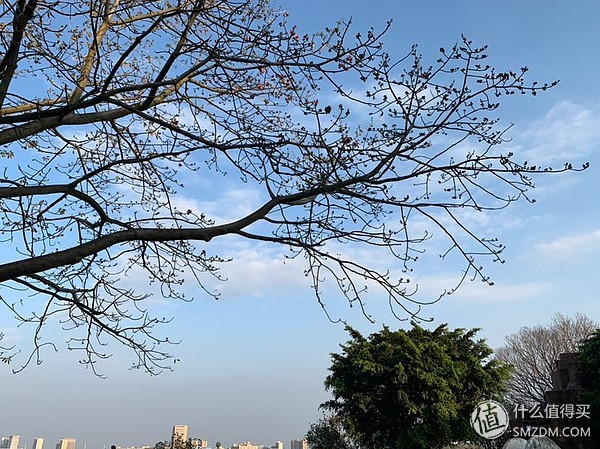 iphone8p和iphonexr谁更好,iphone8p和iphonexr哪个更好用