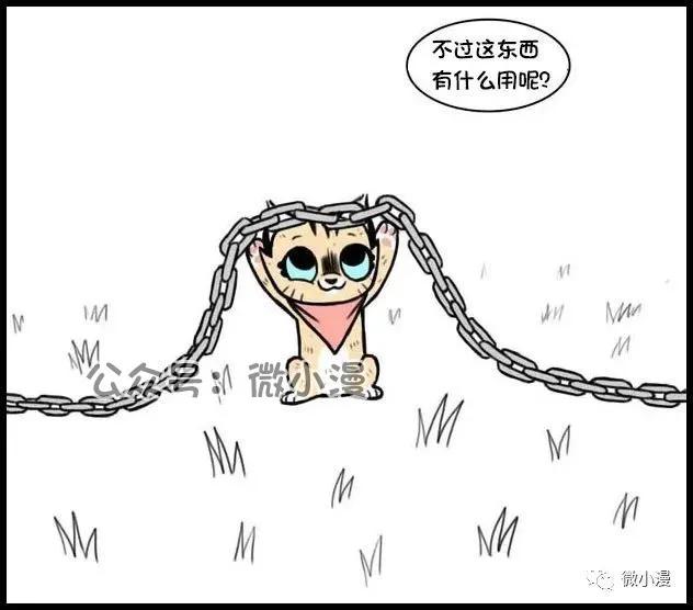 小猫咪欺负大狗漫画,小猫咪欺负大狗漫画暖心