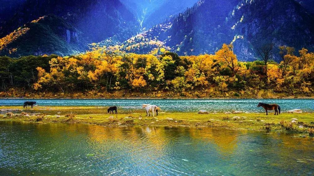 11月适合去旅行的著名风景推荐,10月11月适合旅游的地方