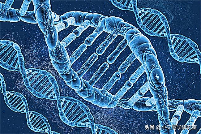 世界上要怎样才能重新复活恐龙,用琥珀复活恐龙动画