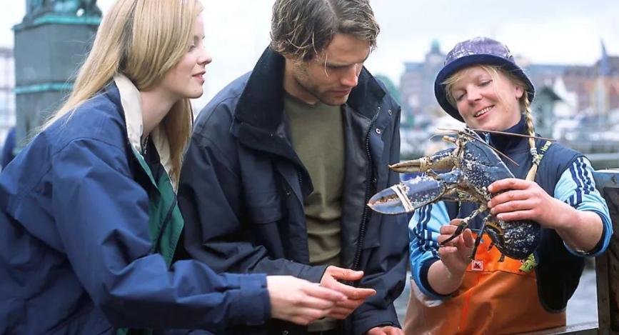 幸福感最高的国家挪威,为什么挪威会成为最幸福的国家