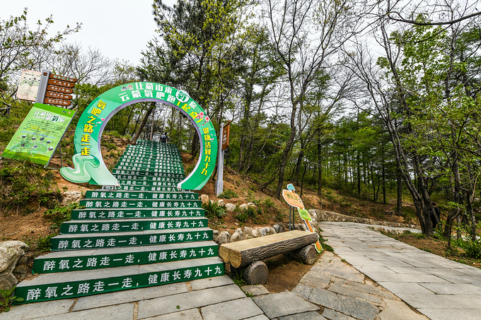 太行山之美巍峨壮丽,太行山最美的免费风景在哪里